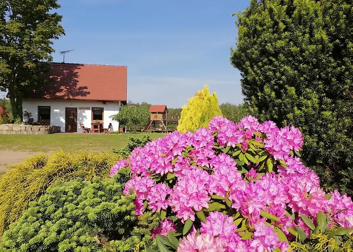 Semesterbostad Czerwony Kapturek Plocice